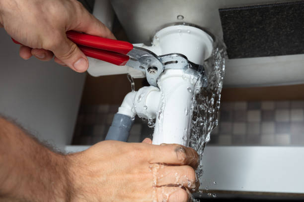 Best Mold removal after water damage  in Emmetsburg, IA