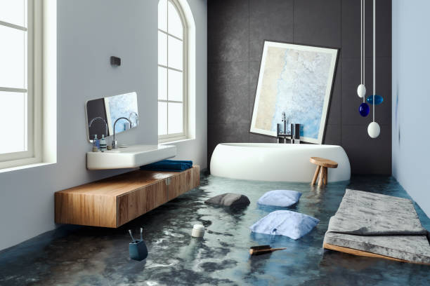 Best Basement water damage restoration  in Emmetsburg, IA