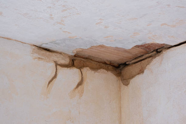 Best Carpet water damage restoration  in Emmetsburg, IA