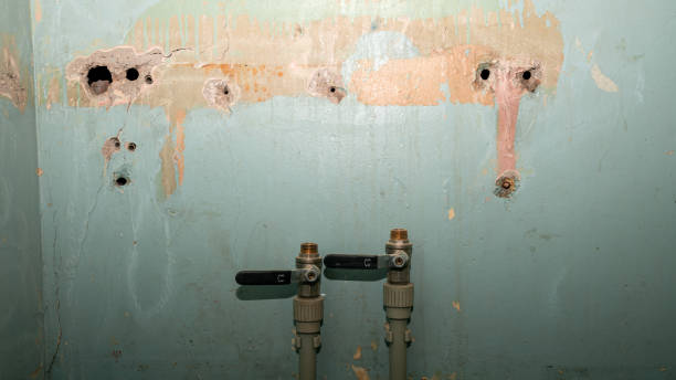 Best 24/7 water damage repair  in Emmetsburg, IA