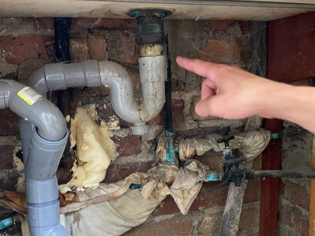Best Emergency water damage restoration  in Emmetsburg, IA