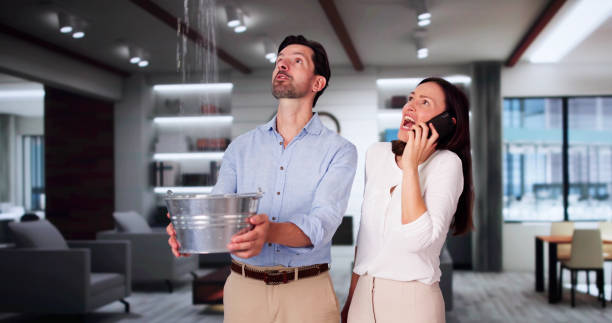 Best Flood damage cleanup  in Emmetsburg, IA